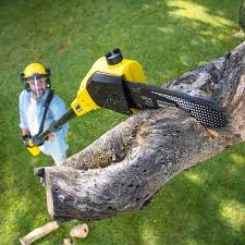 Best Lawn Mowing Services  in Erin, TN